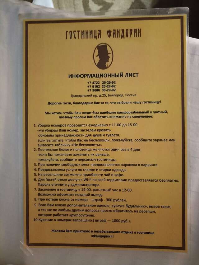 Гостиница Фандорин Белгород-236